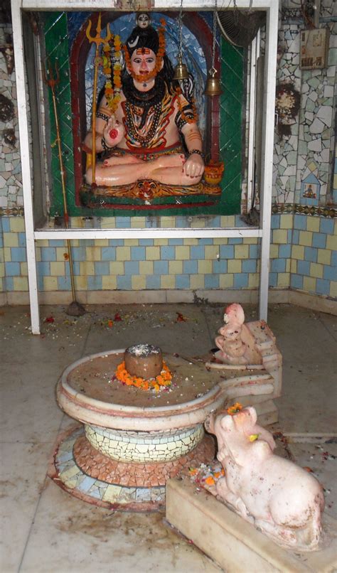 Amarnath Bhojnalaya(lapka dhabha)